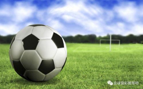 荷兰足球爆料视频大全,揭秘爆料视频大全背后的精彩瞬间  第1张