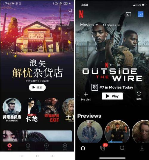 重庆都市新闻爆料视频,揭秘最新爆料视频背后的故事 第1张 重庆都市新闻爆料视频,揭秘最新爆料视频背后的故事 第1张